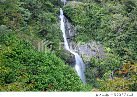 高知県吾川郡いの町清水上分　程野滝の西の滝遠景 95547812