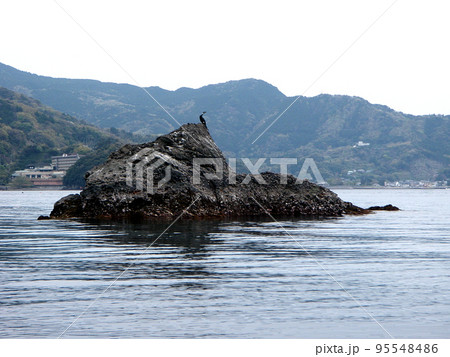 岩礁のうえで羽を休める海鵜 岩礁のうえで羽を休める海鵜 95548486