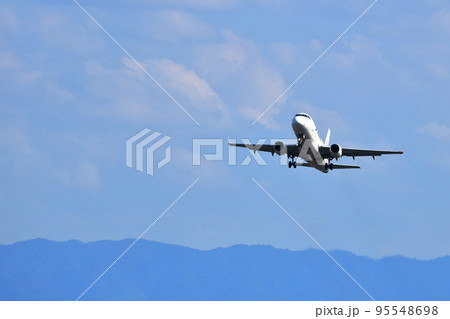 大阪国際空港　旅客機　離着陸　猪名川土手 95548698