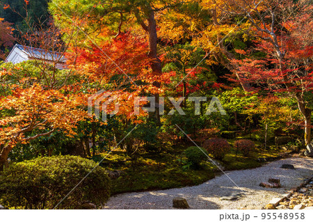 京都嵯峨嵐山の秋　紅葉の二尊院　寂光園 95548958
