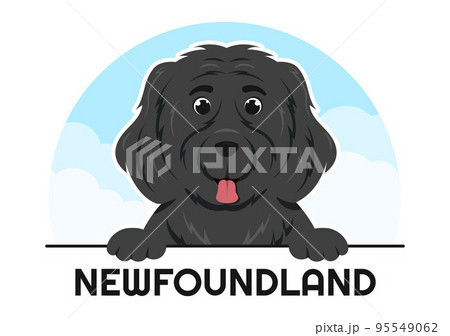Newfoundland Dog Animals with Black, Brown or Landseer Color in Flat Style Cute Cartoon Template Hand Drawn Illustration 95549062