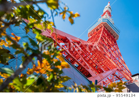 「東京都」青空と東京タワー 「東京都」青空と東京タワー 95549134
