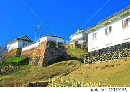 【熊本県】快晴の富岡城跡（天草） 95549148