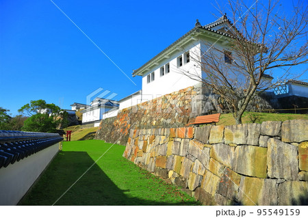 【熊本県】快晴の富岡城跡（天草） 95549159