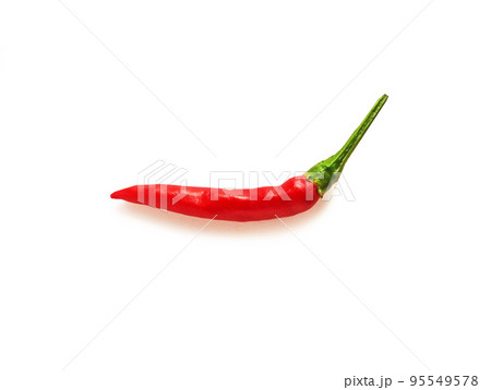 カプサイシンいっぱいの唐辛子、クリスマスのリース作りにも活躍。 95549578