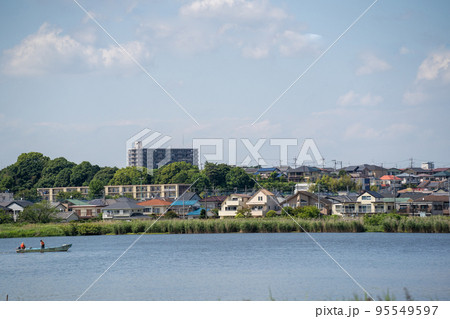 手賀沼サイクリングロードから眺める手賀沼風景(6月) 95549597