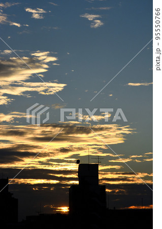 夕陽に輝く金色の雲の波 夕陽に輝く金色の雲の波 95550766
