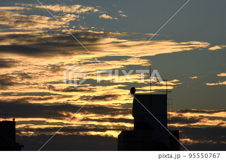 夕陽に輝く金色の雲の波 夕陽に輝く金色の雲の波 95550767