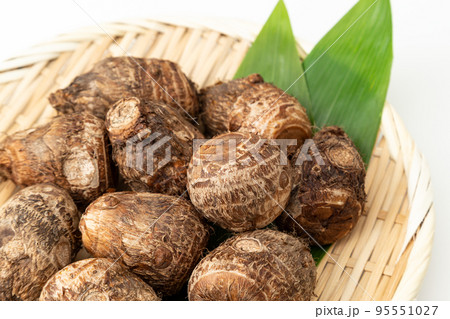 ザルに盛った里芋 白バック ザルに盛った里芋 白バック 95551027