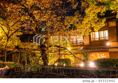 《京都府》秋の京都・祇園白川の夜景 95552442