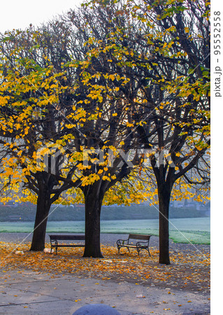 ザグレブ ザグレブ 95552558