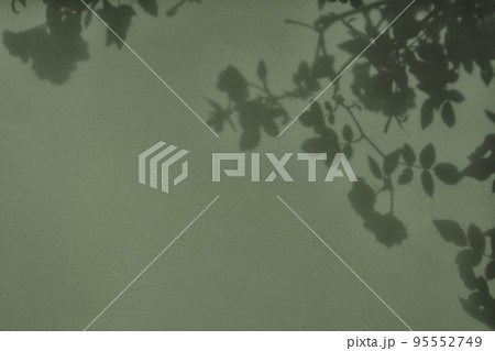 Shadow of leaves on gray green concrete wall texture background Shadow of leaves on gray green concrete wall texture background 95552749