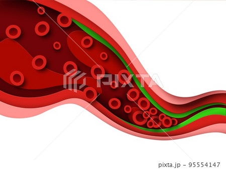 Cholesterol blood artery vessel, vein 3d anatomy Cholesterol blood artery vessel, vein 3d anatomy 95554147