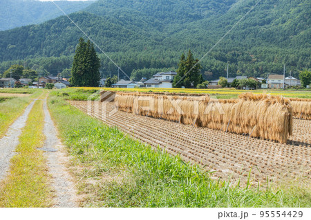 砂利道と天日干し米【安曇野市】 95554429