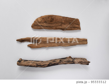 並べられた流木 95555512