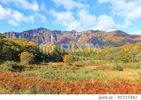 錦秋の秋山郷 天池から望む鳥甲山 錦秋の秋山郷 天池から望む鳥甲山 95555982