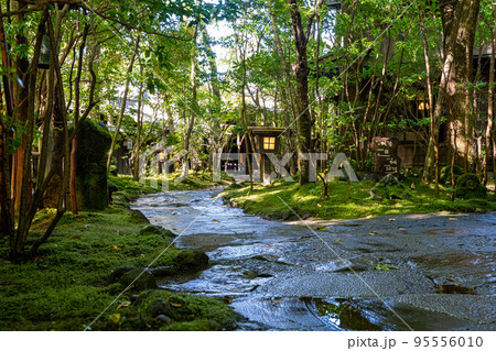熊本 黒川温泉（阿蘇郡南小国町）を散策して 95556010