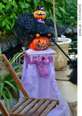 大船フラワーセンター ハロウイン 大船フラワーセンター ハロウイン 95556040