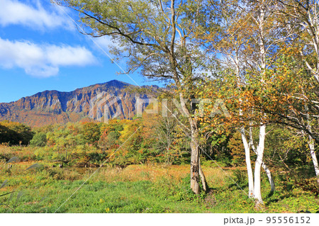 錦秋の秋山郷 天池から望む鳥甲山 錦秋の秋山郷 天池から望む鳥甲山 95556152