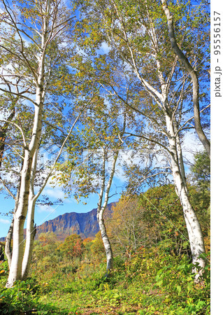錦秋の秋山郷　天池の森 95556157