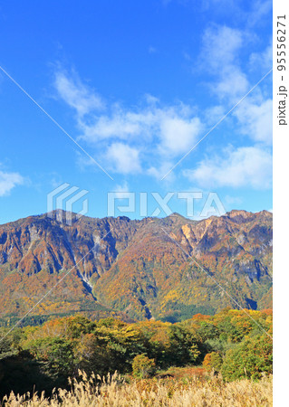 錦秋の秋山郷　天池展望台から望む鳥甲山 95556271