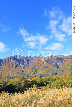 錦秋の秋山郷 天池展望台から望む鳥甲山 錦秋の秋山郷 天池展望台から望む鳥甲山 95556273