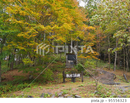 秋の暮坂峠（群馬県） 95556323