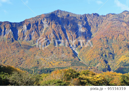 錦秋の秋山郷　天池展望台から望む鳥甲山 95556359