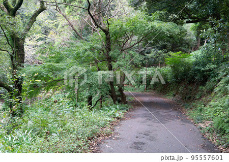 恩山寺 恩山寺 95557601