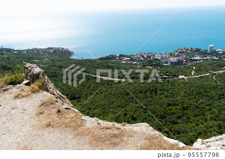 View of the panorama of the beach and the black sea in the background down. Ai-Petri, Crimea. Pine branch overlooking the cliff in a beautiful style. View from above. View of the panorama of the beach and the black sea in the background down. Ai-Petri, Crimea. Pine branch overlooking the cliff in a beautiful style. View from above. 95557796
