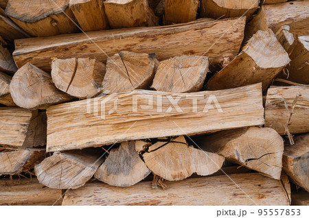 薪棚に積まれた薪 薪棚に積まれた薪 95557853