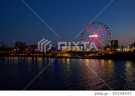あらかわ遊園の新観覧車と東京スカイツリー　イルミネーション　夜景 95558547