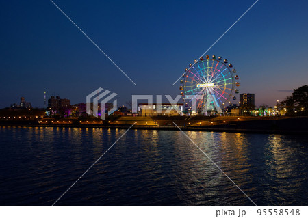 あらかわ遊園の新観覧車と東京スカイツリー イルミネーション 夜景 あらかわ遊園の新観覧車と東京スカイツリー イルミネーション 夜景 95558548