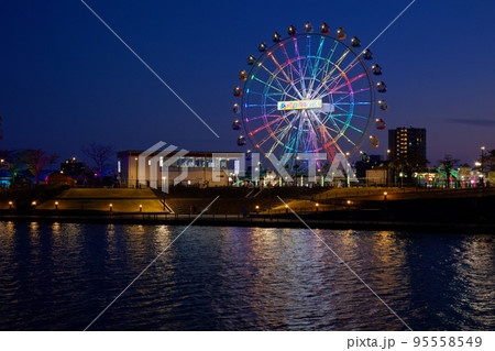 あらかわ遊園の新観覧車と東京スカイツリー　イルミネーション　夜景 95558549