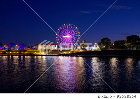 あらかわ遊園の新観覧車 イルミネーション 夜景 あらかわ遊園の新観覧車 イルミネーション 夜景 95558554