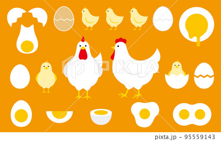 ニワトリとヒヨコとタマゴ ニワトリとヒヨコとタマゴ 95559143
