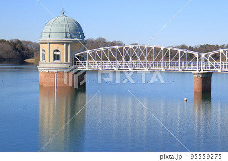 渡り鳥が羽を休める冬の多摩湖 渡り鳥が羽を休める冬の多摩湖 95559275