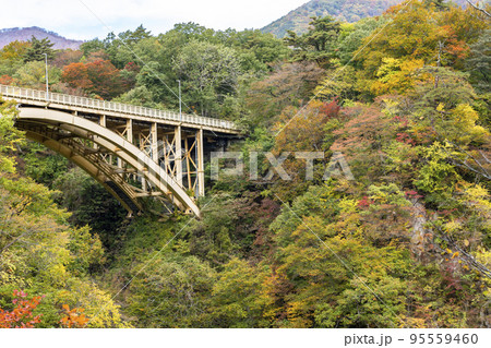 紅葉の風景　鳴子峡の回顧橋 (みかえりばし)　宮城県大崎市 95559460