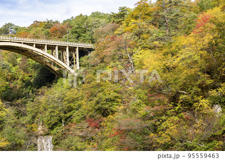 紅葉の風景　鳴子峡の回顧橋 (みかえりばし)　宮城県大崎市 95559463