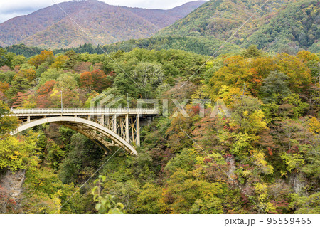 紅葉の風景　鳴子峡の回顧橋 (みかえりばし)　宮城県大崎市 95559465