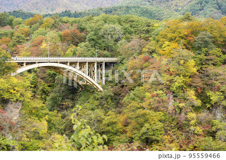 紅葉の風景　鳴子峡の回顧橋 (みかえりばし)　宮城県大崎市 95559466