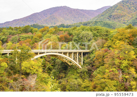 紅葉の風景　鳴子峡の回顧橋 (みかえりばし)　宮城県大崎市 95559473