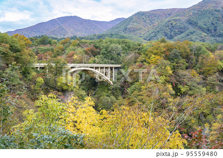 紅葉の風景　鳴子峡の回顧橋 (みかえりばし)　宮城県大崎市 95559480