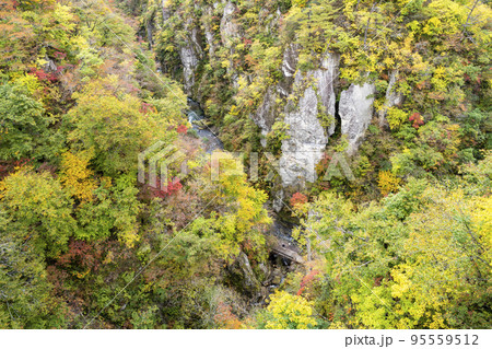 紅葉の風景　秋の鳴子峡　宮城県大崎市 95559512