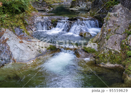 紅葉の風景　秋の関山大滝　山形県東根市 95559629