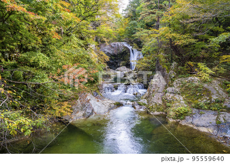 紅葉の風景　秋の関山大滝　山形県東根市 95559640