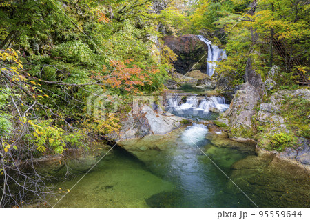 紅葉の風景 秋の関山大滝 山形県東根市 紅葉の風景 秋の関山大滝 山形県東根市 95559644