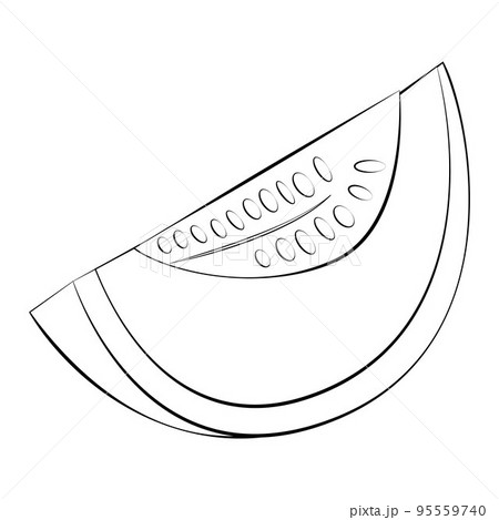 A slice of melon in a thin line. Vector on a white background A slice of melon in a thin line. Vector on a white background 95559740