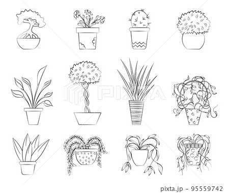 A set of plants in pots with a thin line A set of plants in pots with a thin line 95559742