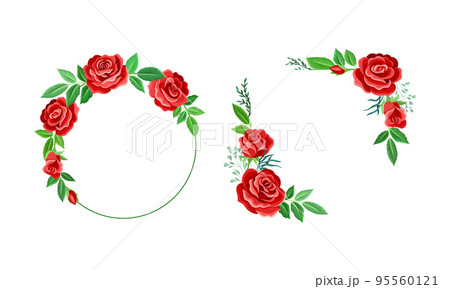 Rose Frame with Red Lush Bud and Green Leaves Arranged in Shape with Border Vector Set Rose Frame with Red Lush Bud and Green Leaves Arranged in Shape with Border Vector Set 95560121